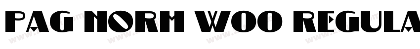 PAG Norm W00 Regular字体转换 PAG Norm W00 Regular字体转换